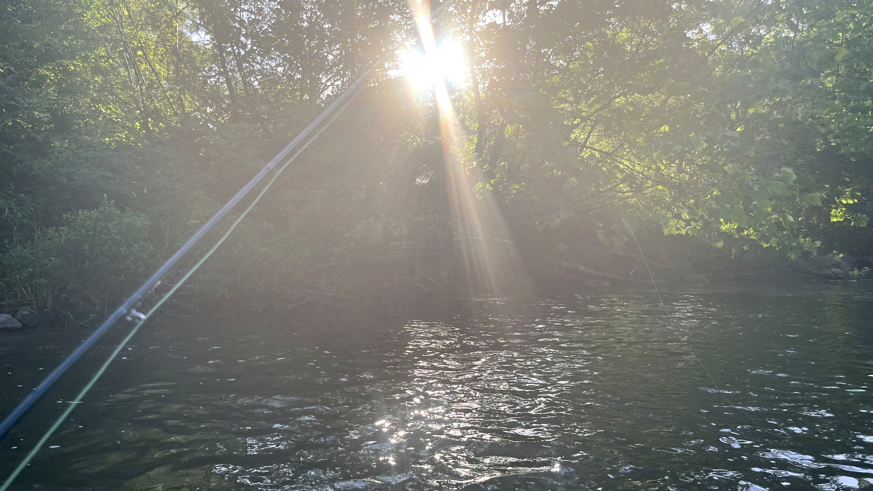 Evening sun breaking through the trees over the Little Juniata, a fly rod and line reaching over the water